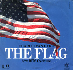 The Flag 45 Sleeve